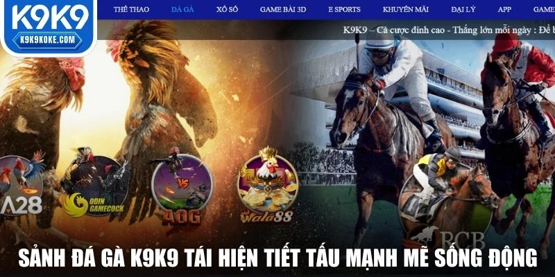 Sảnh đá gà K9K9 tái hiện tiết tấu mạnh mẽ sống động