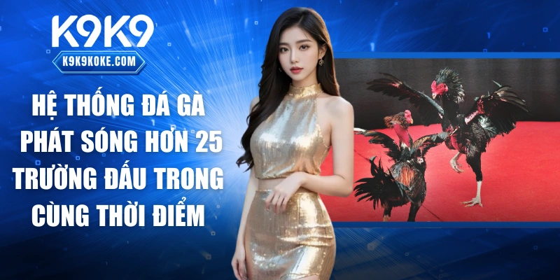 Hệ thống đá gà phát sóng hơn 25 trường đấu ở trong cùng thời điểm